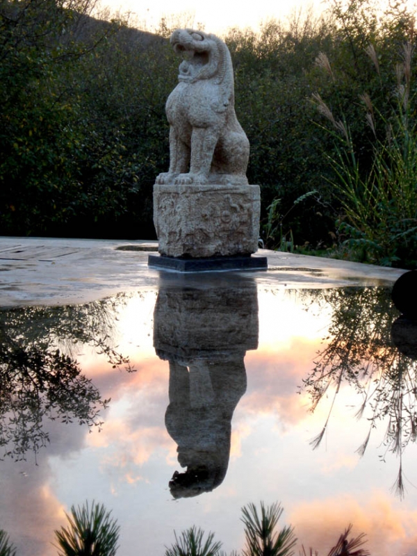 Statue Reflection